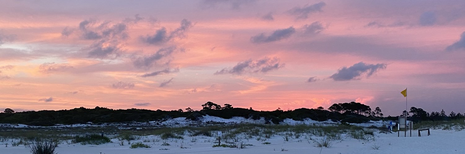 megandrews19's profile banner image