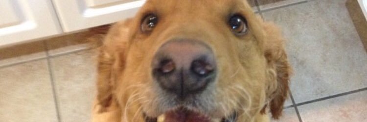 Matt_IS_59's profile banner image