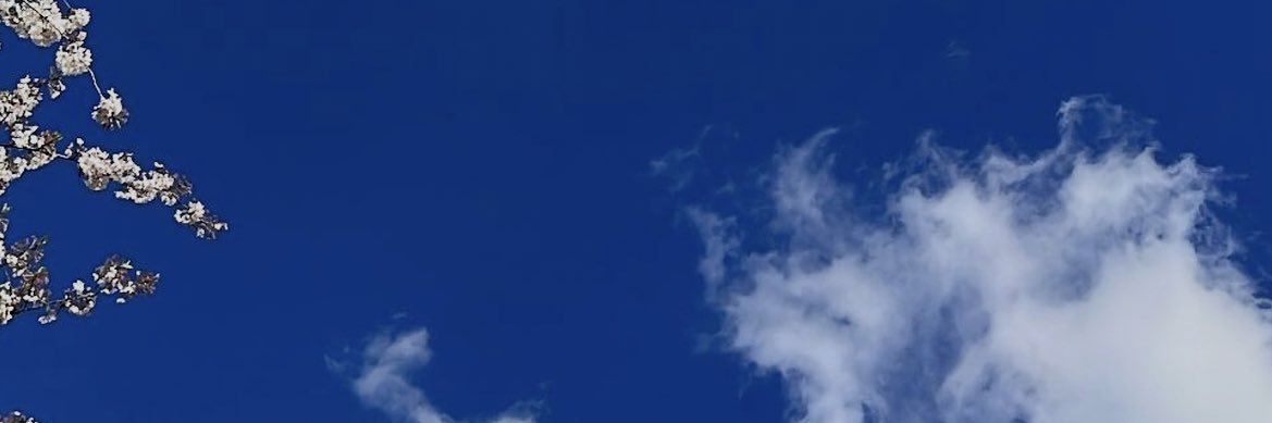 Travis County Democratic Party banner