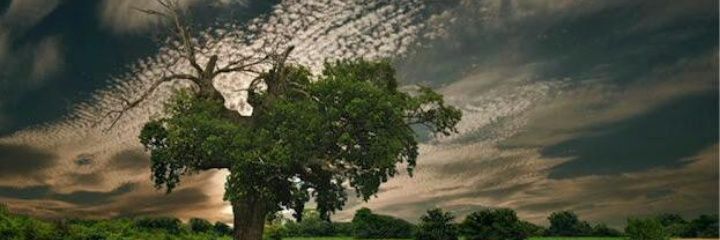 SNhdi's profile banner image