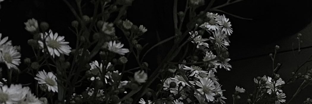 rikaizhere's profile banner image