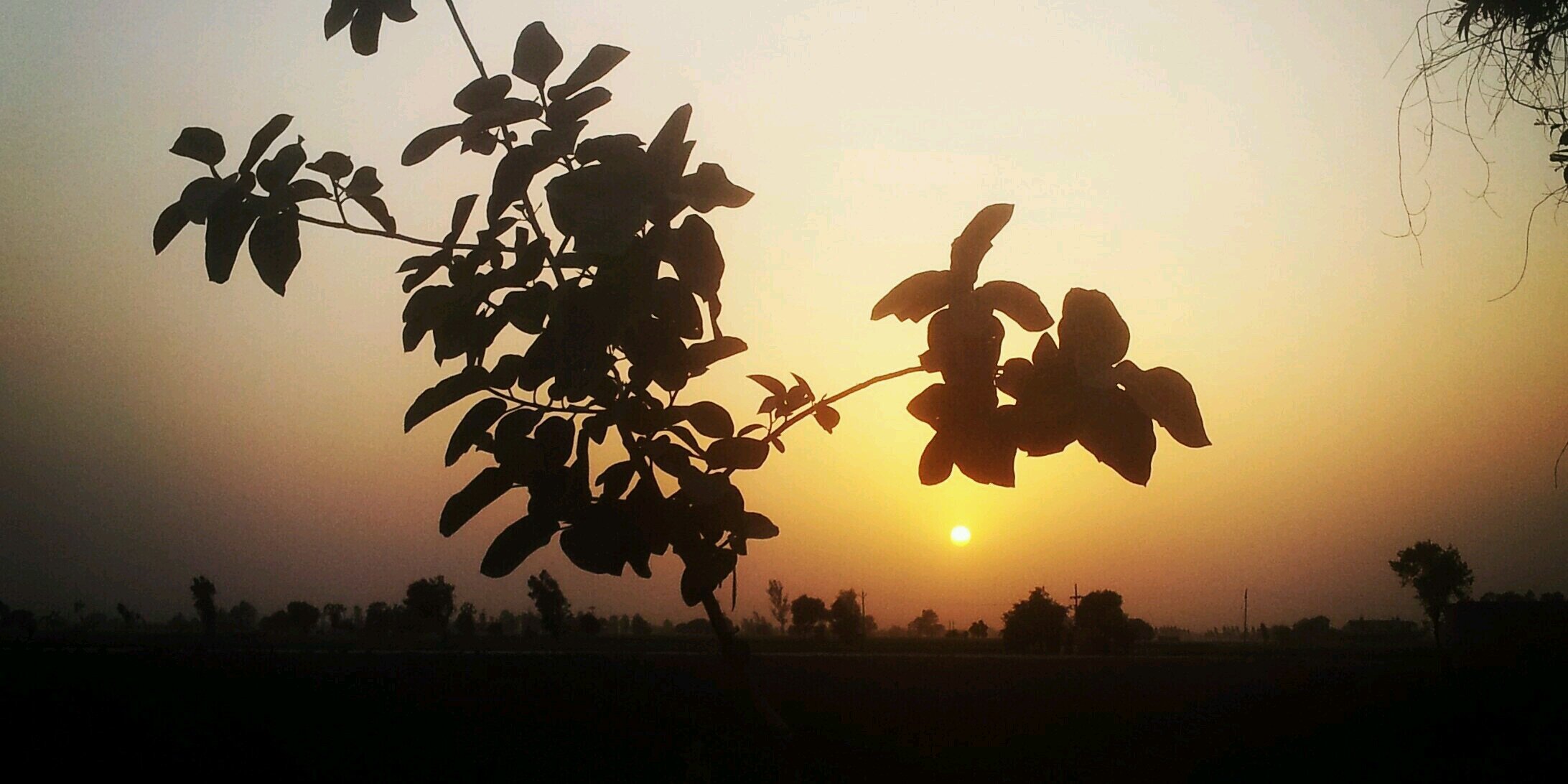 rbrar77's profile banner image