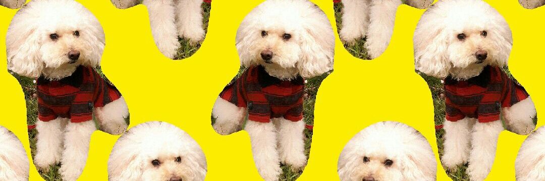mickey888777's profile banner image