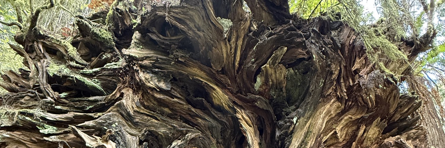 BassoRD3's profile banner image