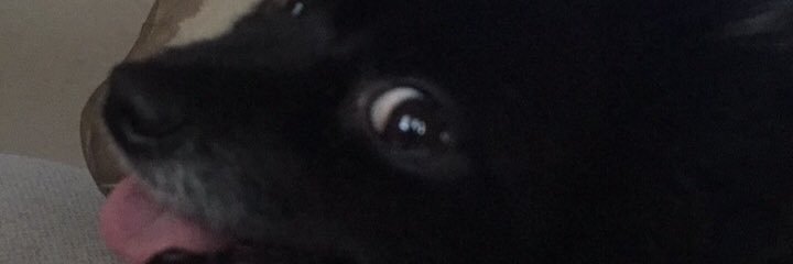 KVRlE's profile banner image