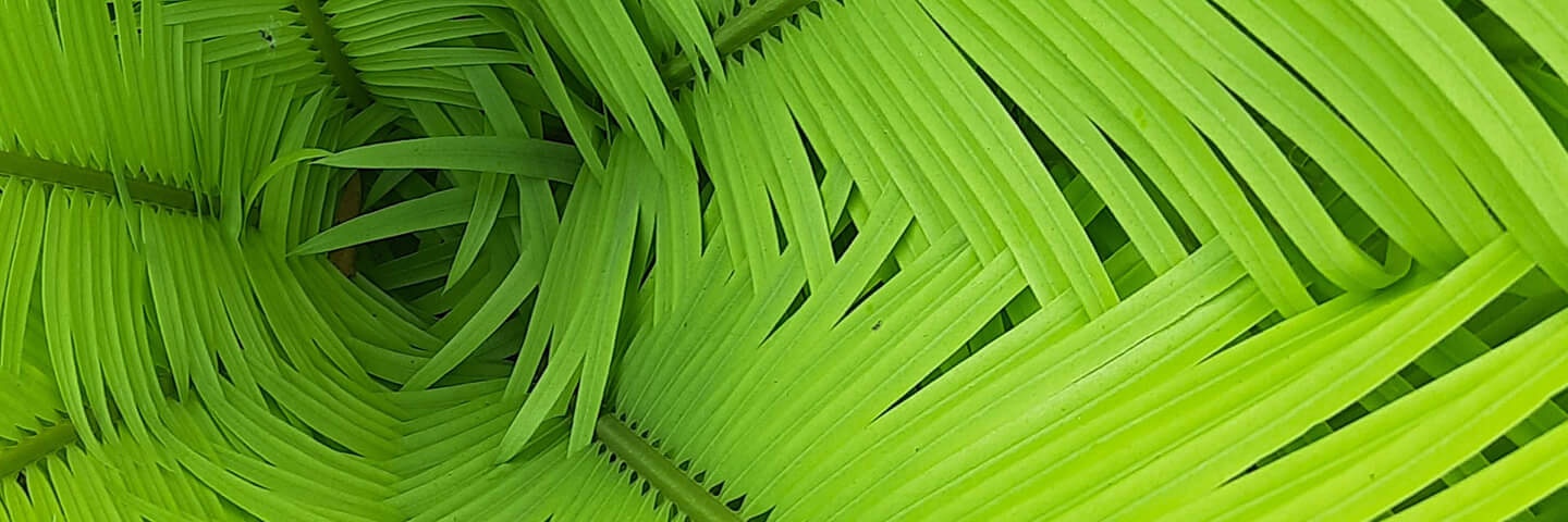 poojarik215's profile banner image