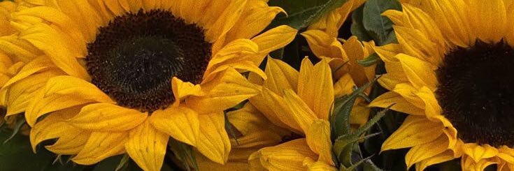 luachantre's profile banner image
