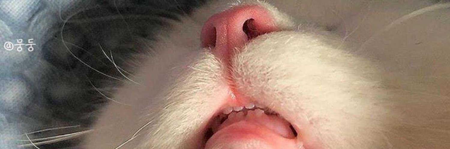 marykstevens's profile banner image