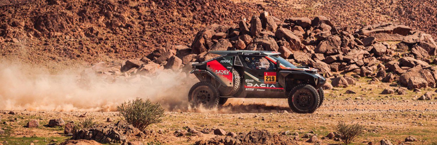 Sébastien Loeb banner