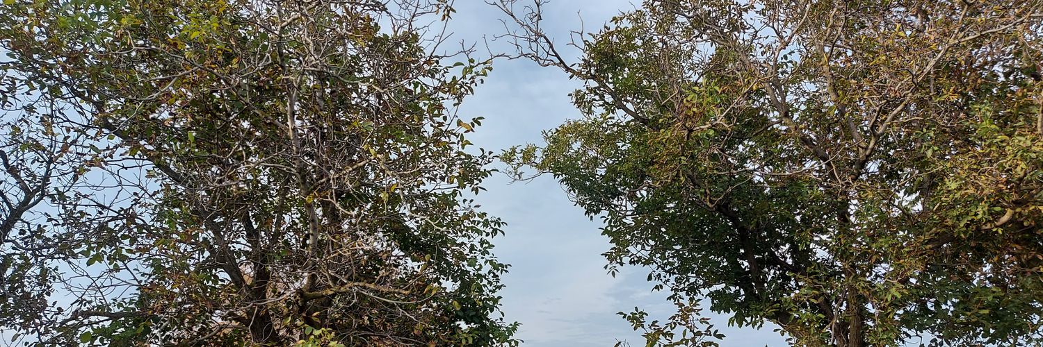 ecopresa's profile banner image