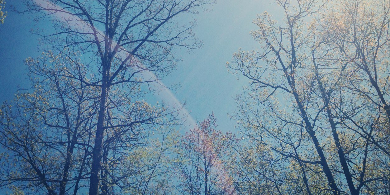 D_Long_22's profile banner image