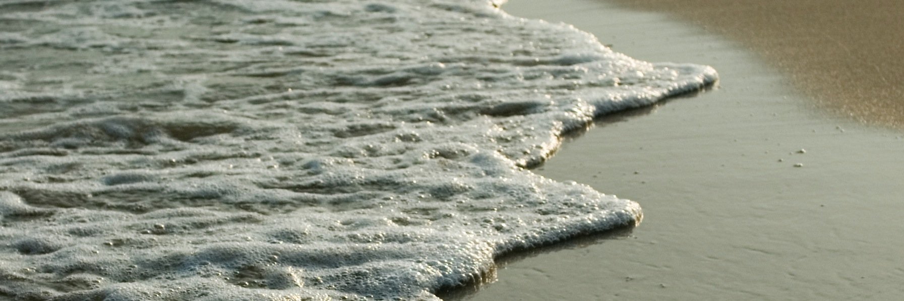 Seasidefilms's profile banner image