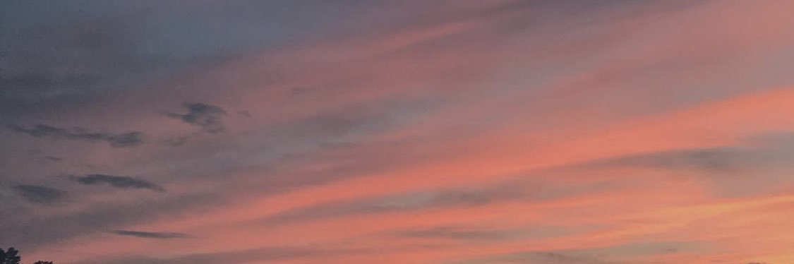 _alex_varas's profile banner image