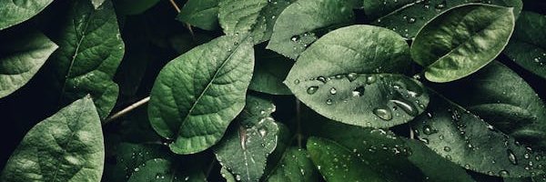 Kriptachka's profile banner image