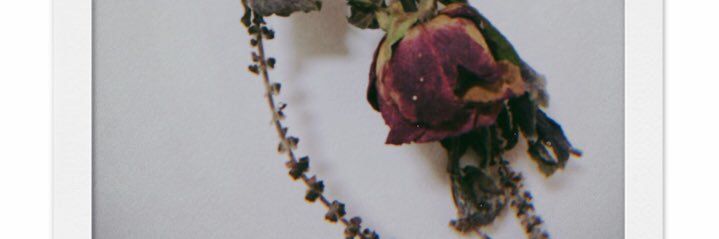 appii_92's profile banner image
