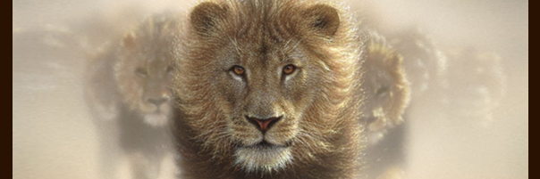 SriVanTheRealMe's profile banner image