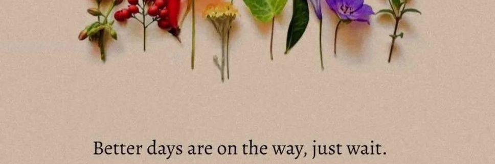 JanSquared_'s profile banner image