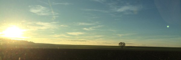 juliastreets Profile Banner