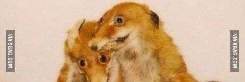 maxpleasure's profile banner image