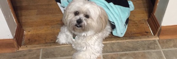 NataleReg42592 Profile Banner