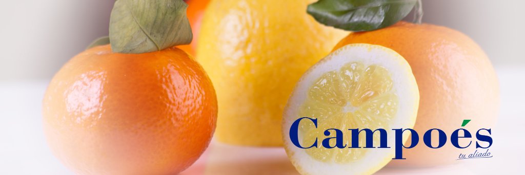 Campoés banner
