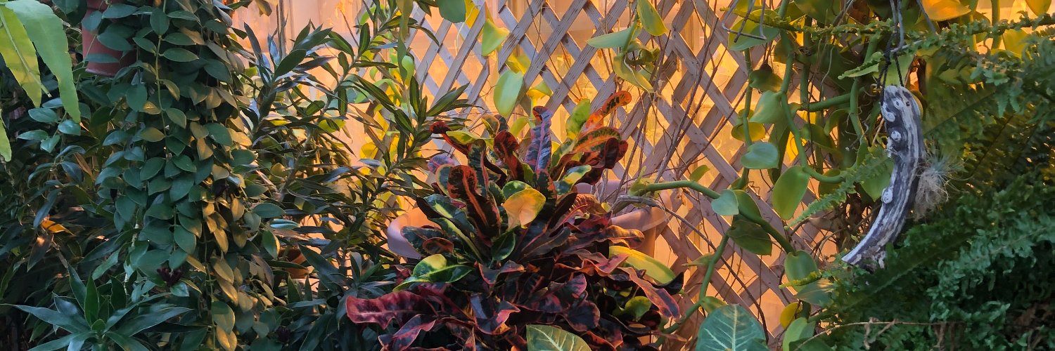 willard_laura's profile banner image