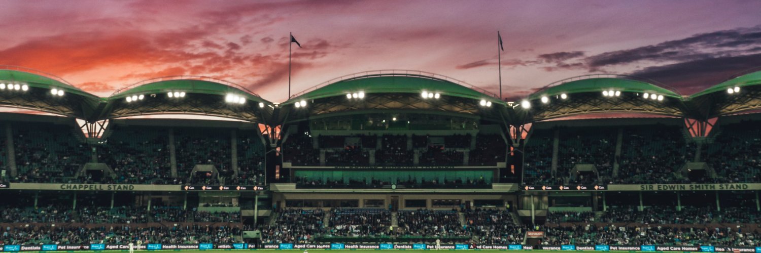BBL Crowds banner