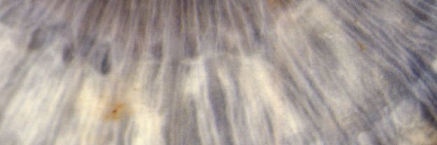 warmhoney banner