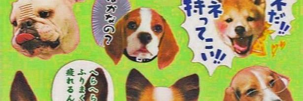 __ninw's profile banner image