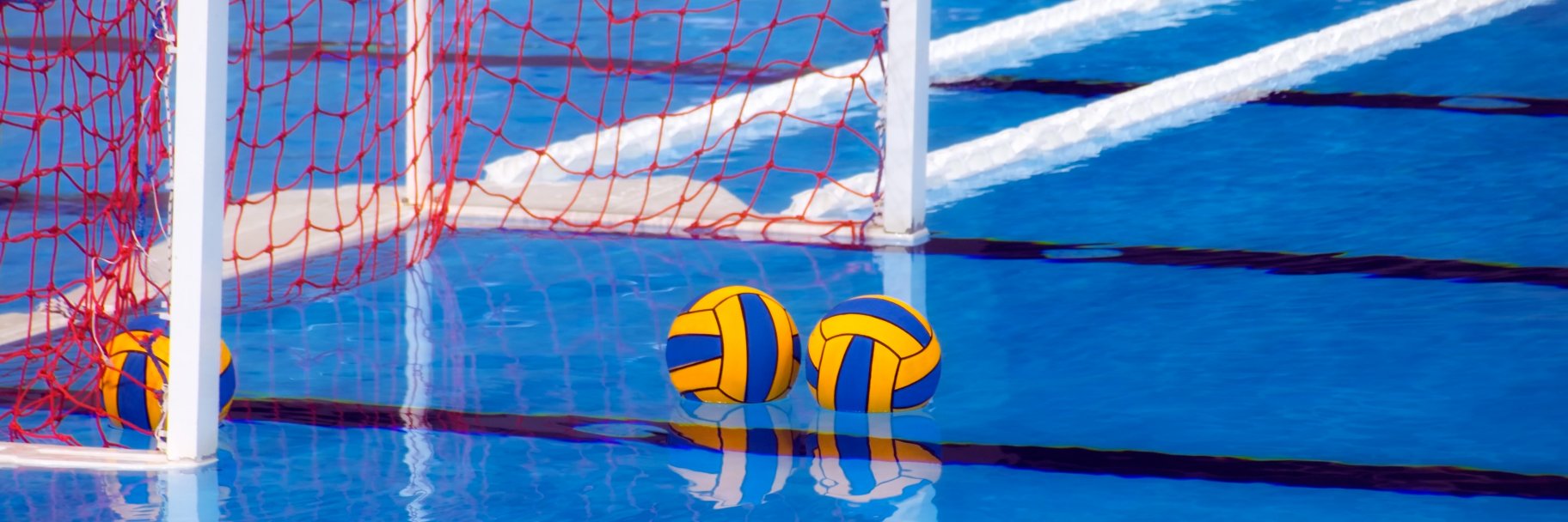 BWWPL's profile banner image