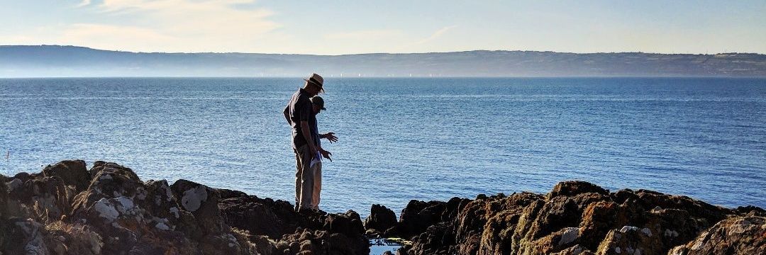 Justin Cartwright banner