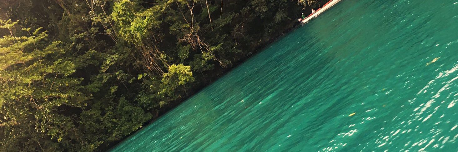 SanchezMeeks's profile banner image