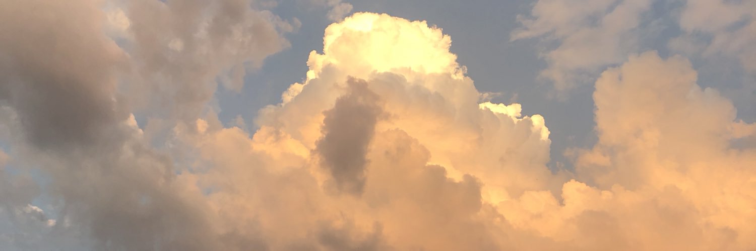 daveyboydanger's profile banner image