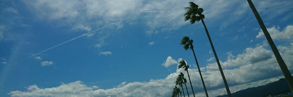 orange908's profile banner image