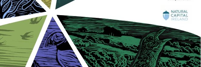 Natural Capital Ireland's banner