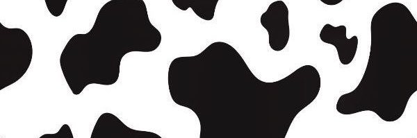evaaudree's profile banner image