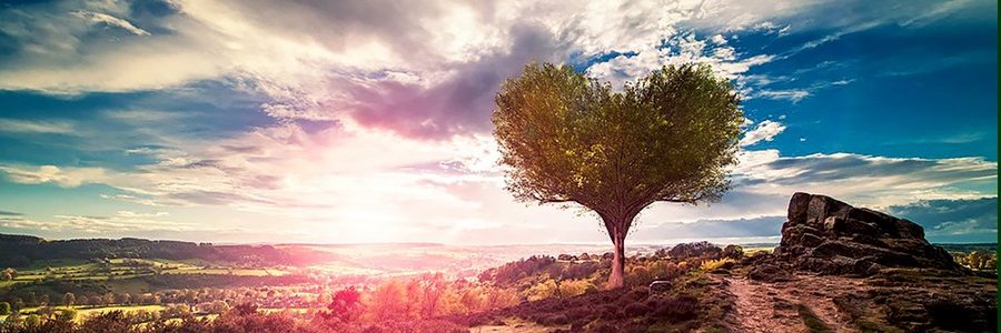 Samir Reynolds banner