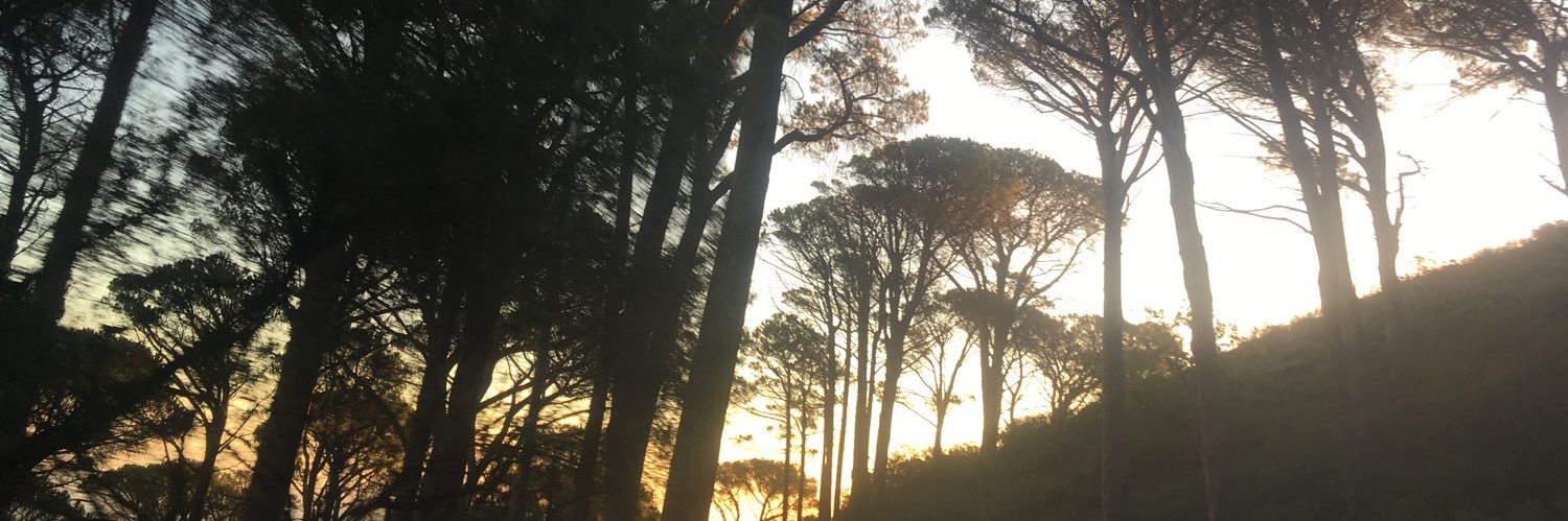 _noodlepops_'s profile banner image