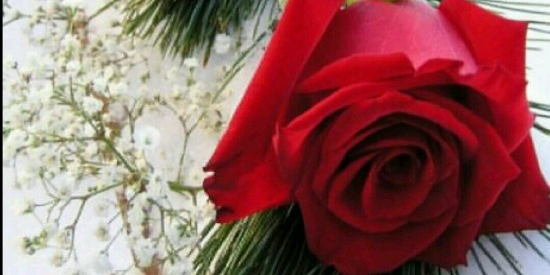 basrairaq31's profile banner image