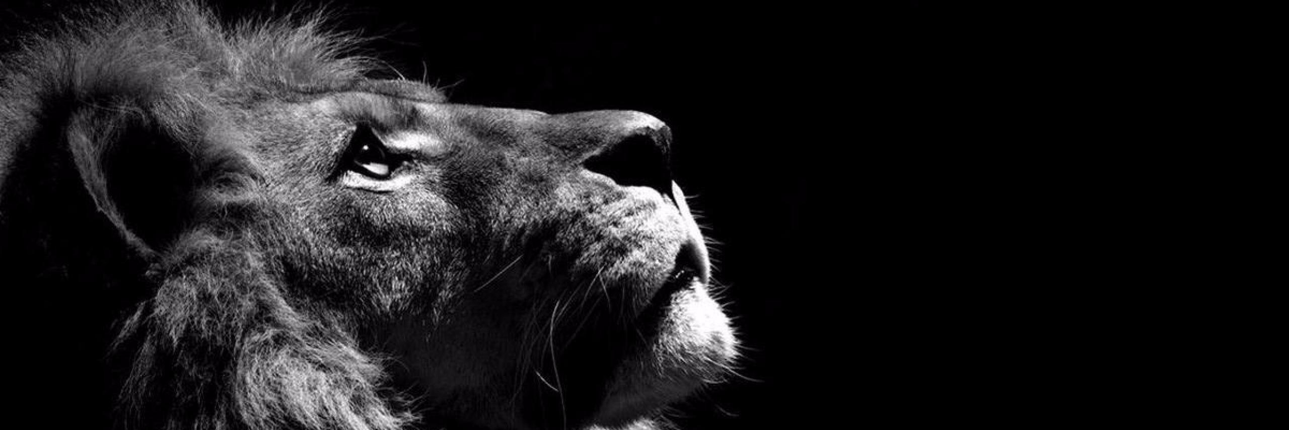 munyijeff254's profile banner image