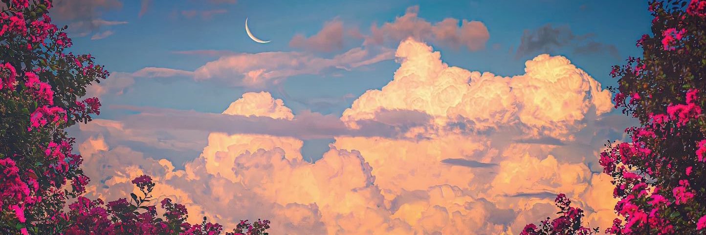 pinkAriesVenus's profile banner image