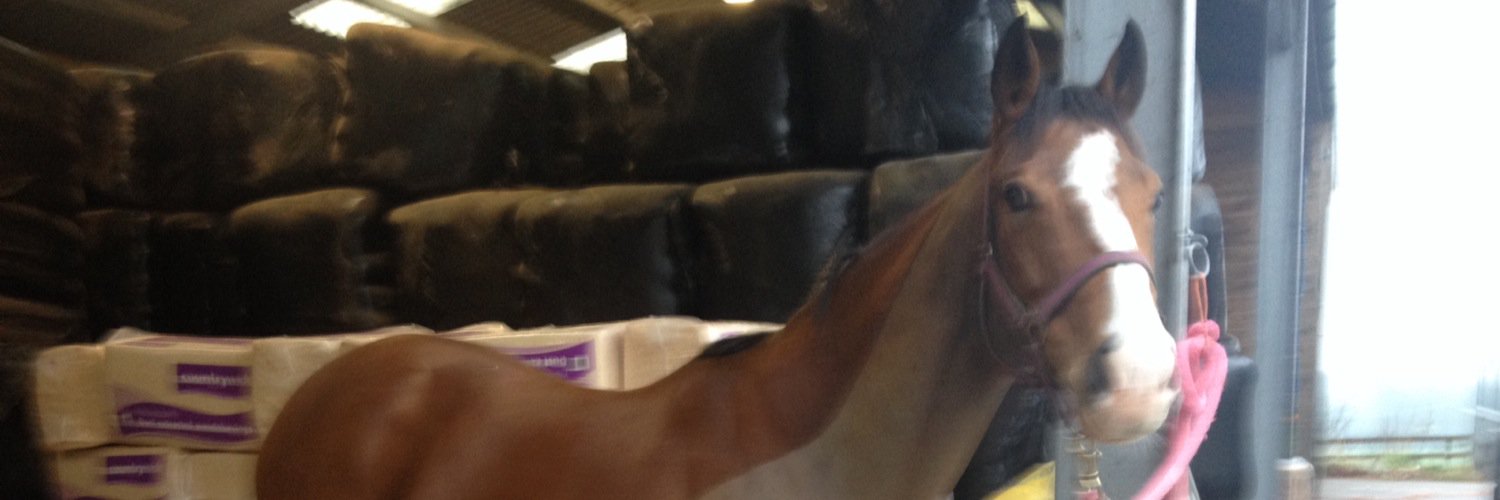 filly_89's profile banner image