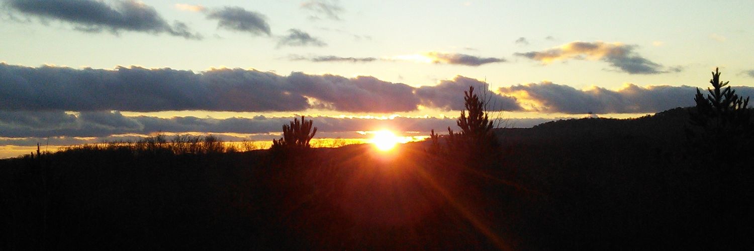 joliebean65's profile banner image