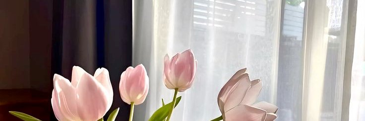 doubcel's profile banner image