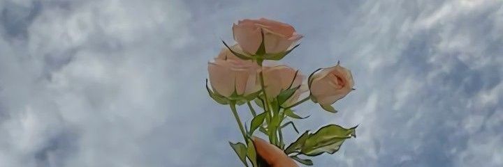 laiahnisa's profile banner image