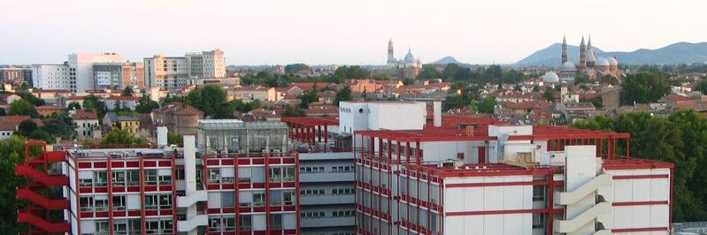 BioComputing UP banner