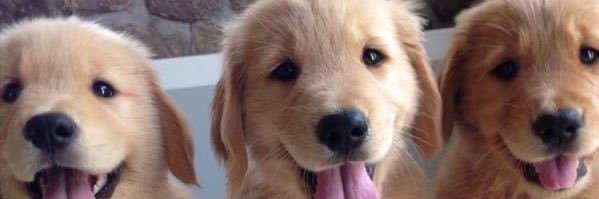 carsonkkkkk's profile banner image