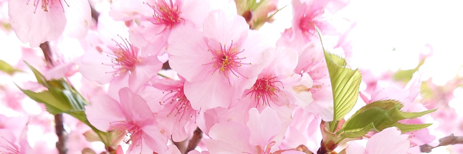 misamisa9992's profile banner image
