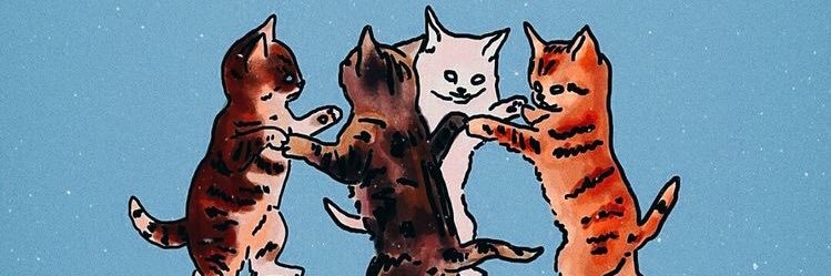 MiccaZalazar's profile banner image