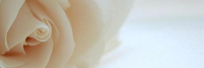 __rasil's profile banner image
